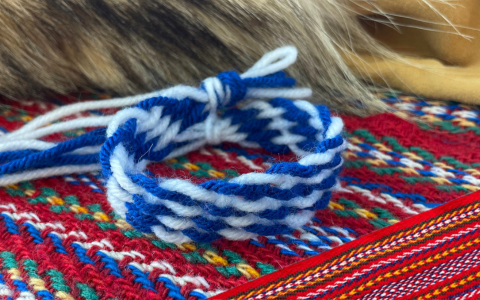 Metis Ropes Métis Workshops and Presentations | Louis Riel Institute